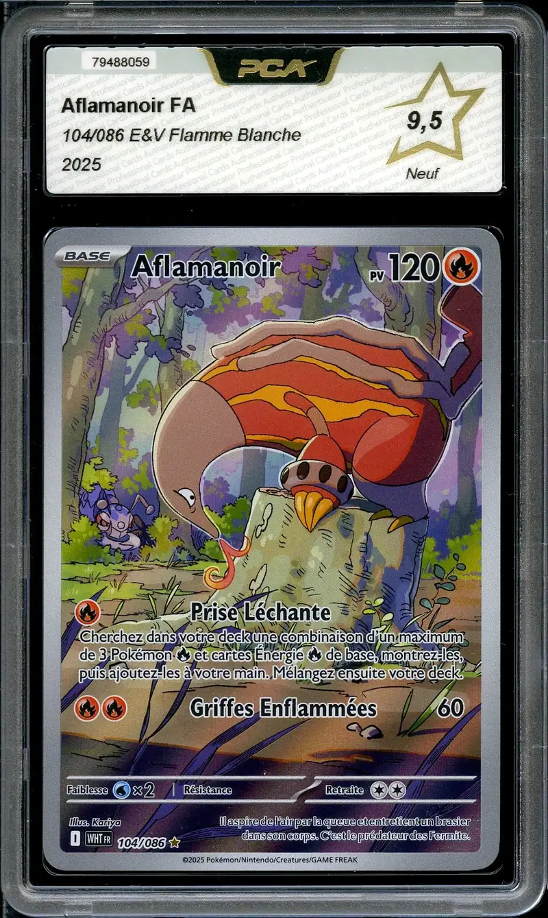 PCA 9.5 Aflamanoir