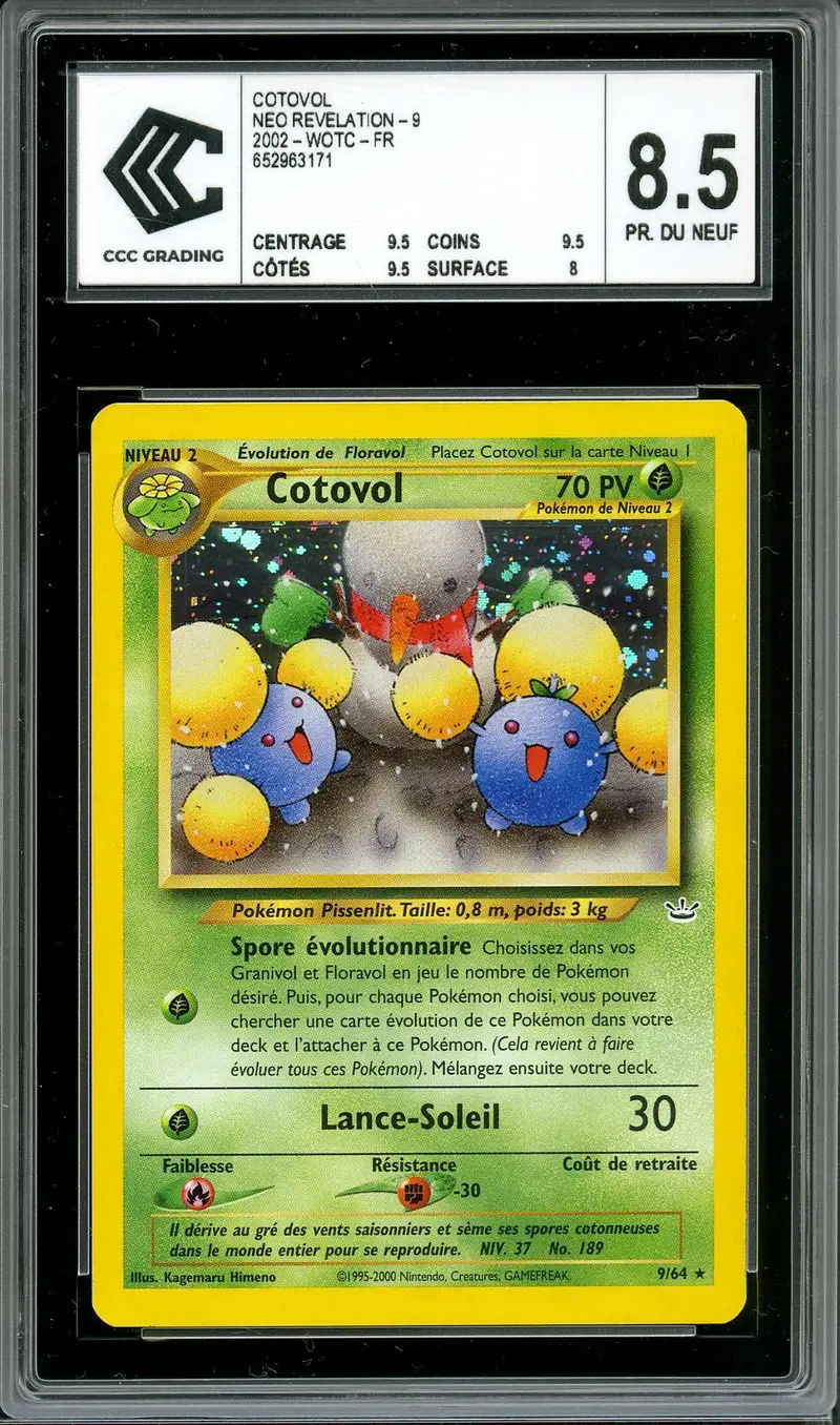 CCC 8.5 Cotovol Holo