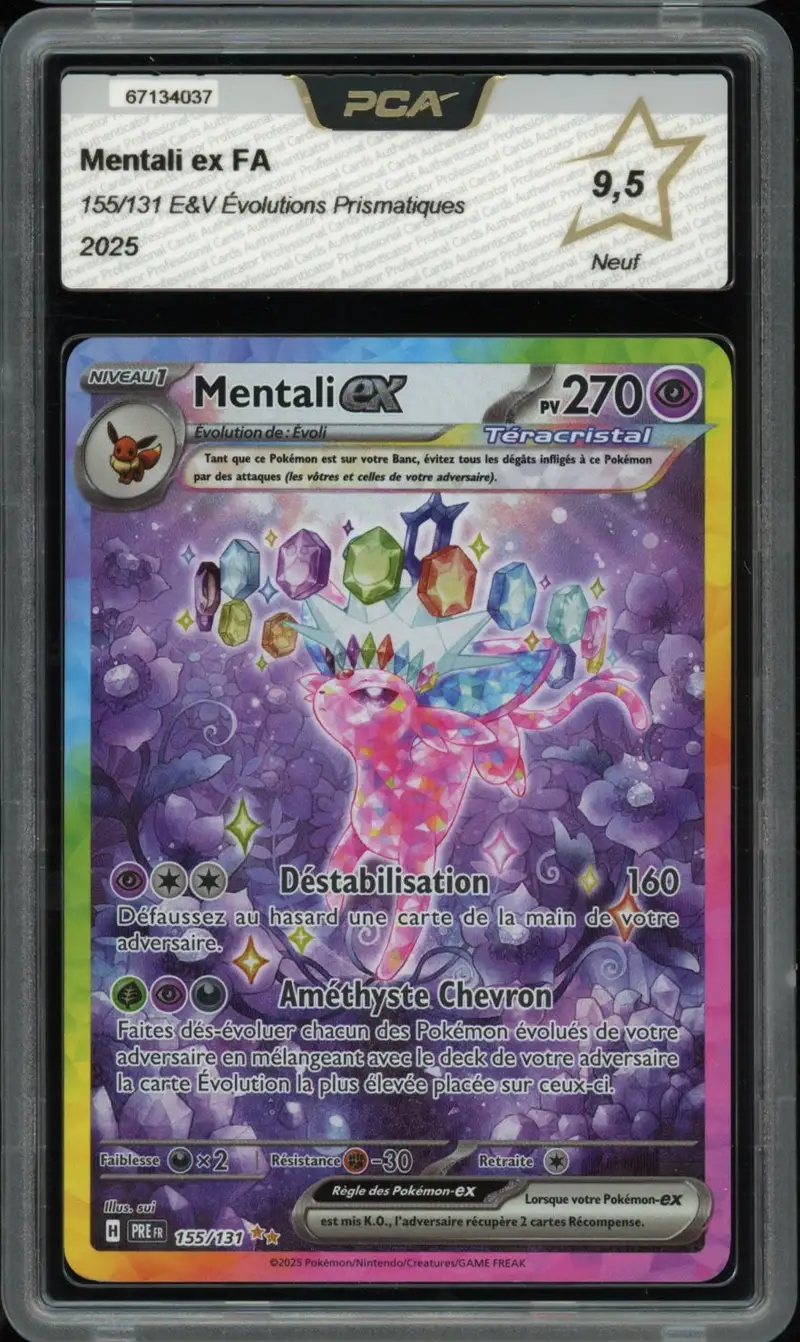 PCA 9.5 Mentali Ex