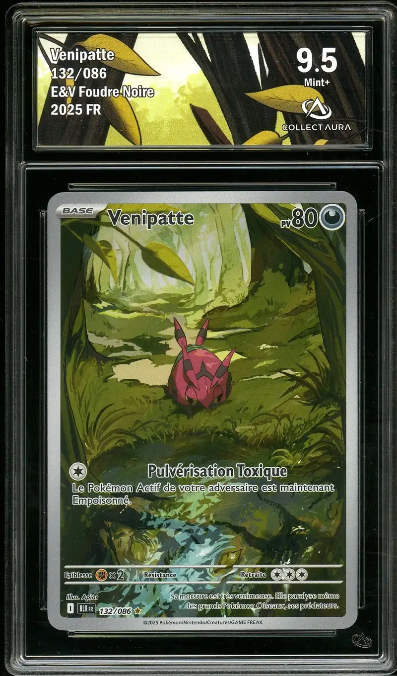CA 9.5 Venipatte