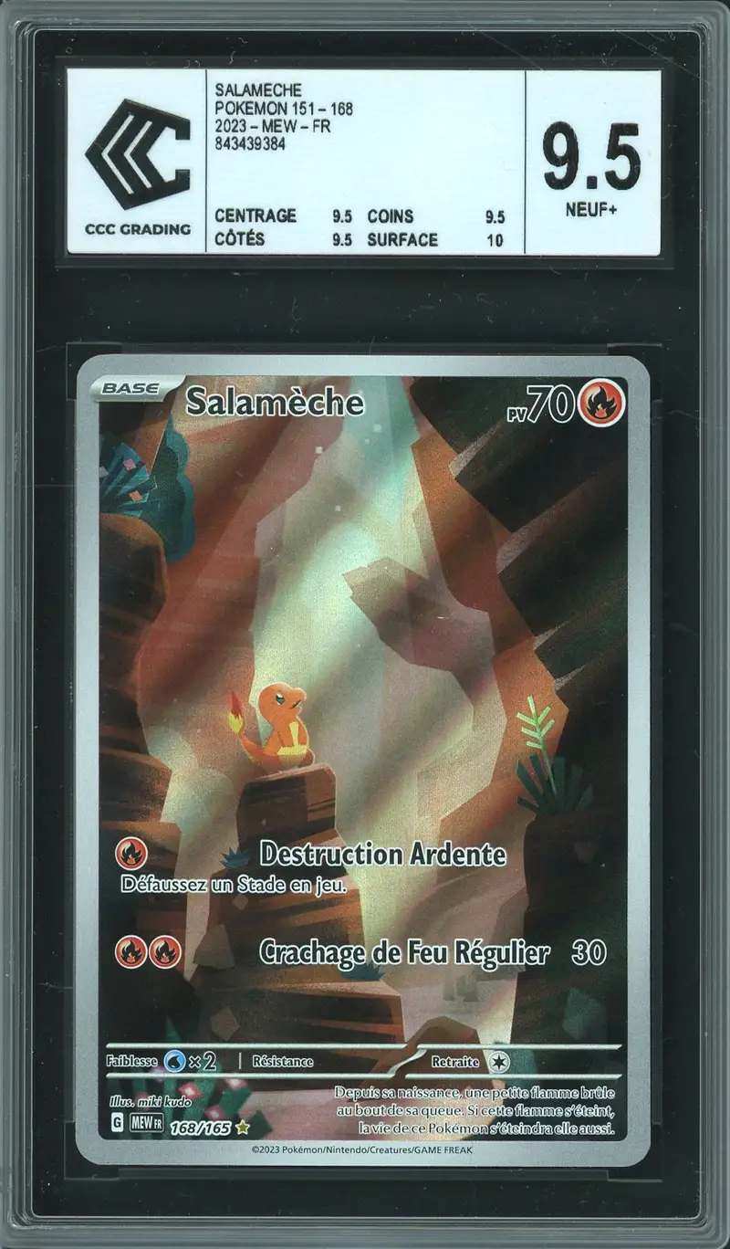 CCC 9.5 Salamèche