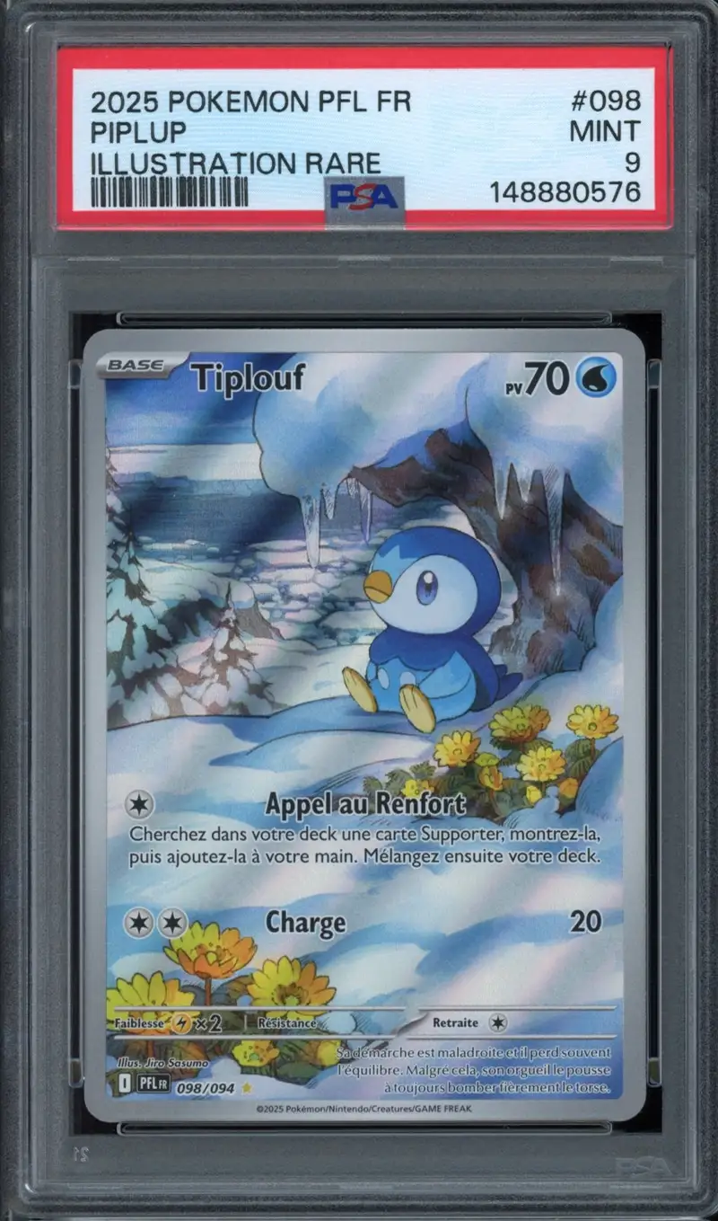 PSA 9 Tiplouf