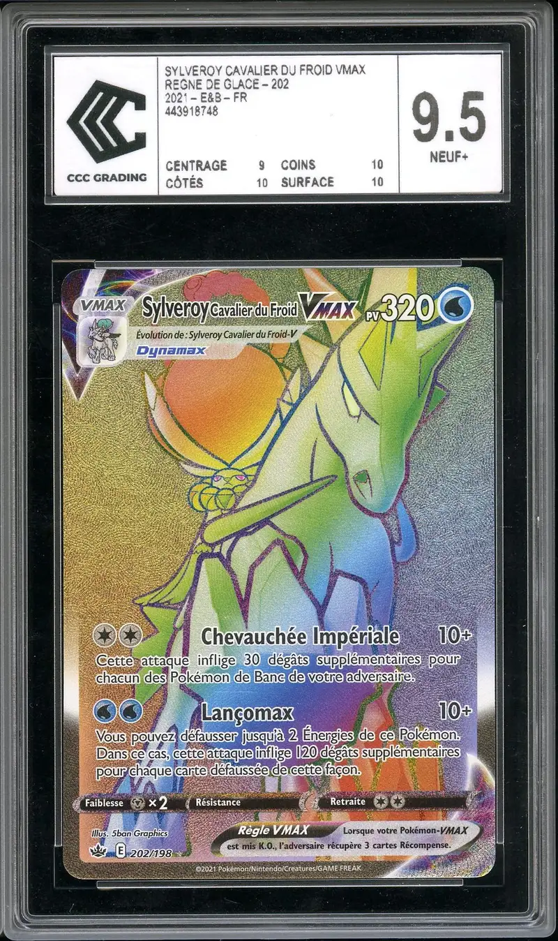 CCC 9.5 Sylveroy Cavalier du Froid VMax Rainbow