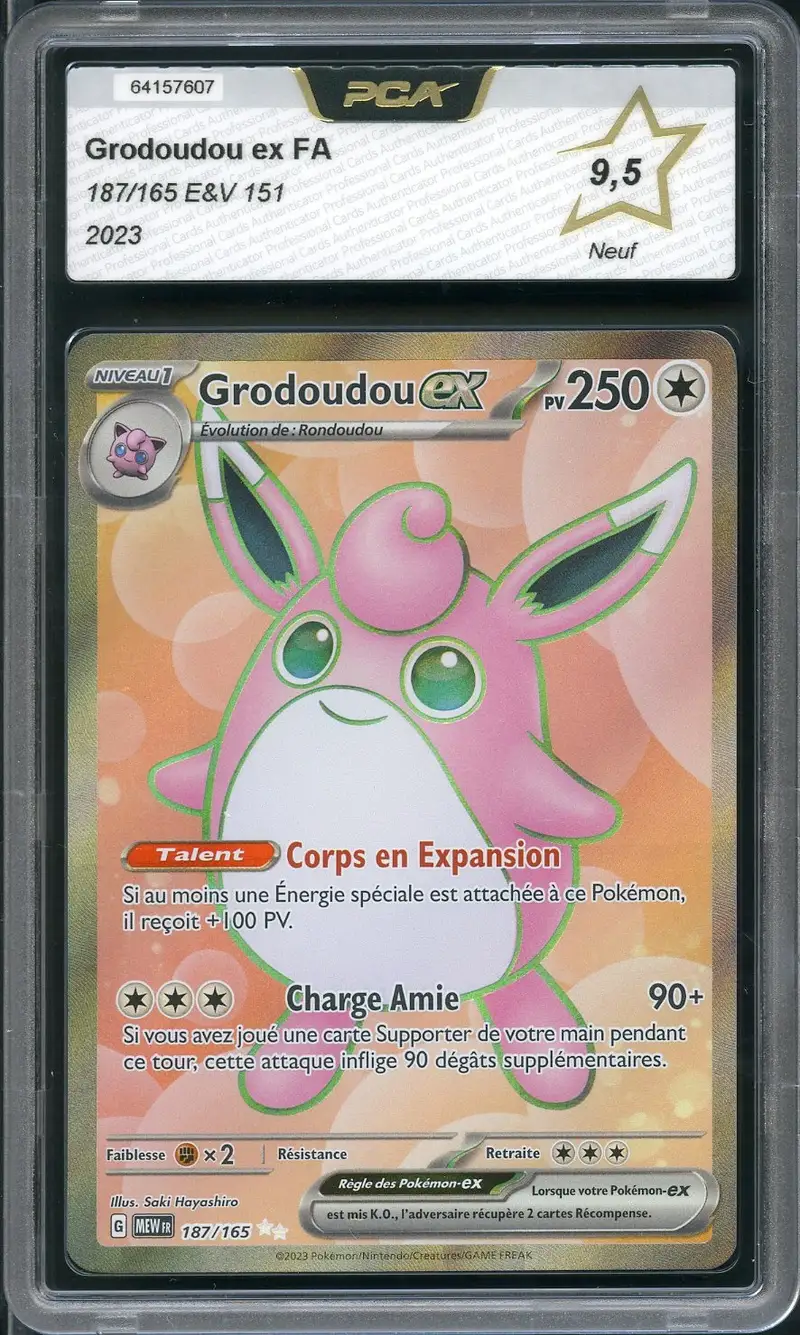 PCA 9.5 Grodoudou Ex