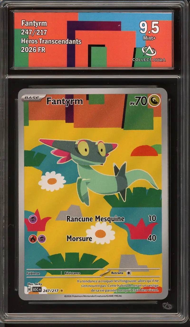 CA 9.5 Fantyrm