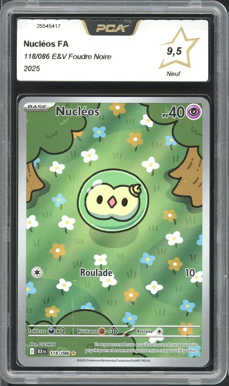 PCA 9.5 Nucléos