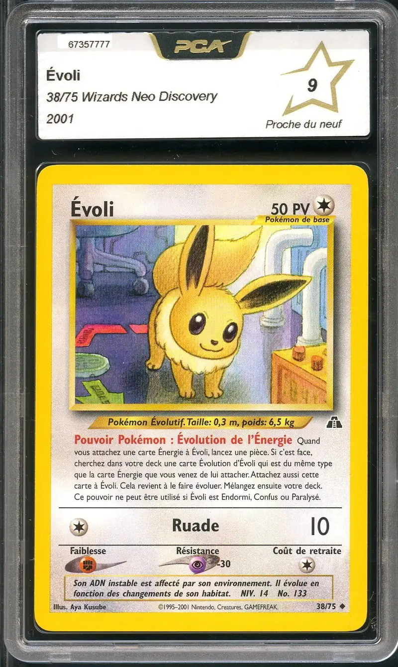 PCA 9 Evoli