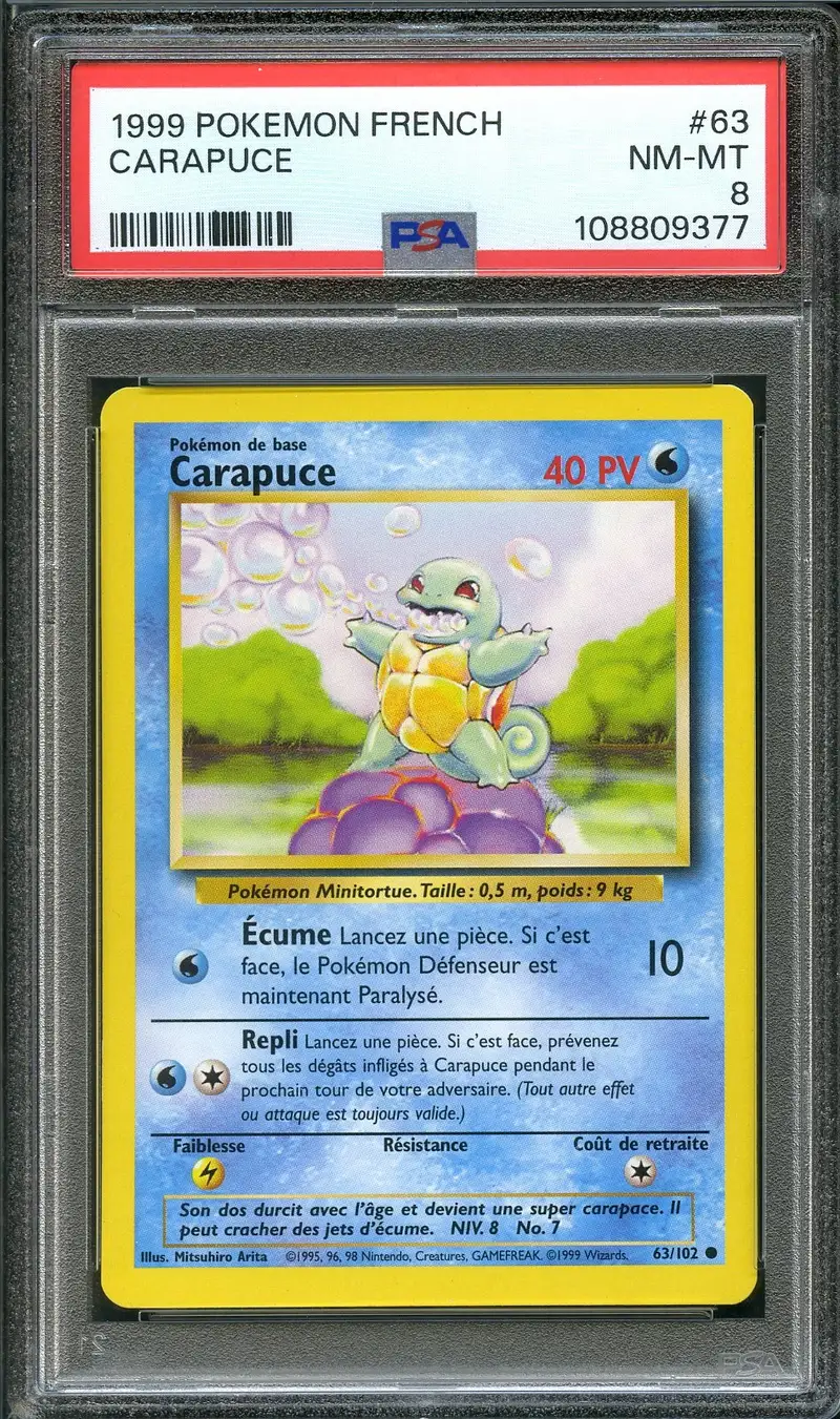 PSA 8 Carapuce