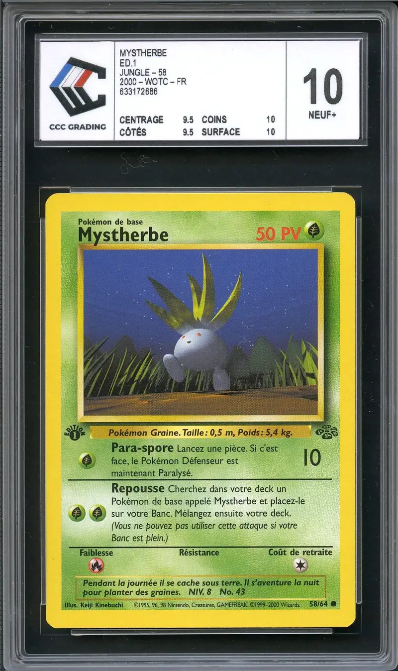 CCC 10 Mystherbe