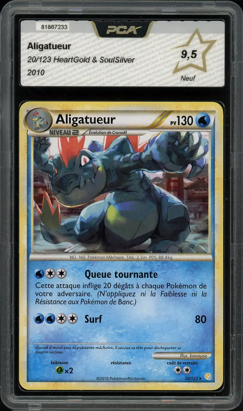 PCA 9.5 Aligatueur