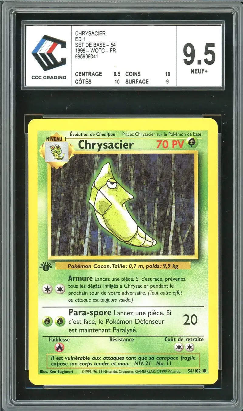 CCC 9.5 Chrysacier