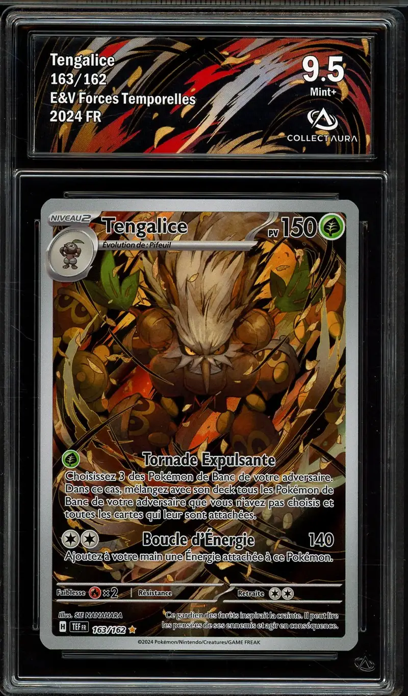 CA 9.5 Tengalice