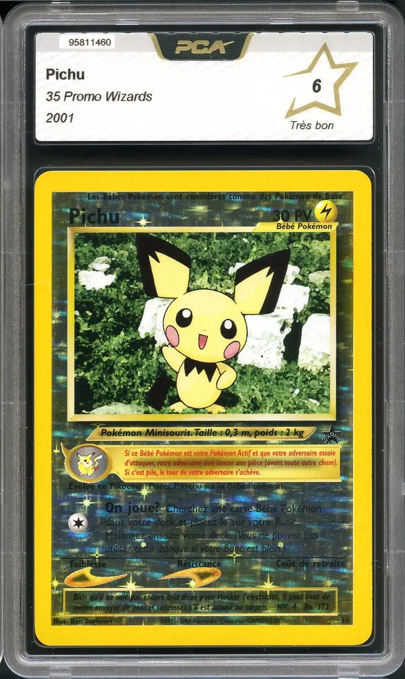 PCA 6 Pichu
