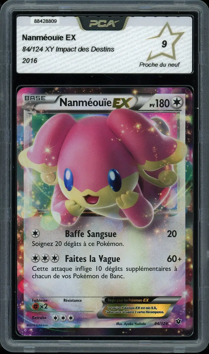PCA 9 Nanméouïe Ex