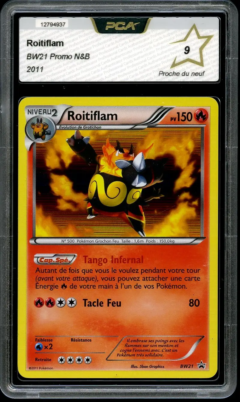 PCA 9 Roitiflam Holo