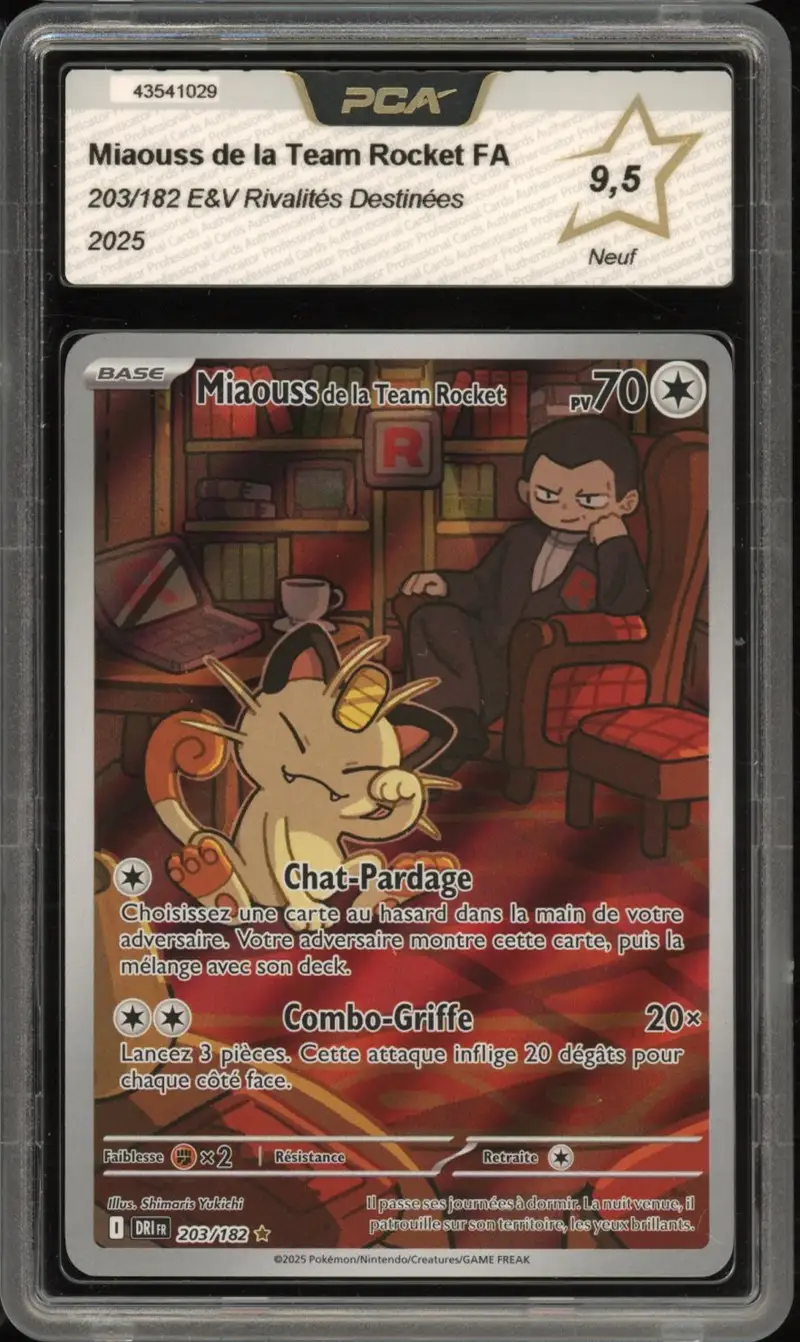 PCA 9.5 Miaouss de la Team Rocket
