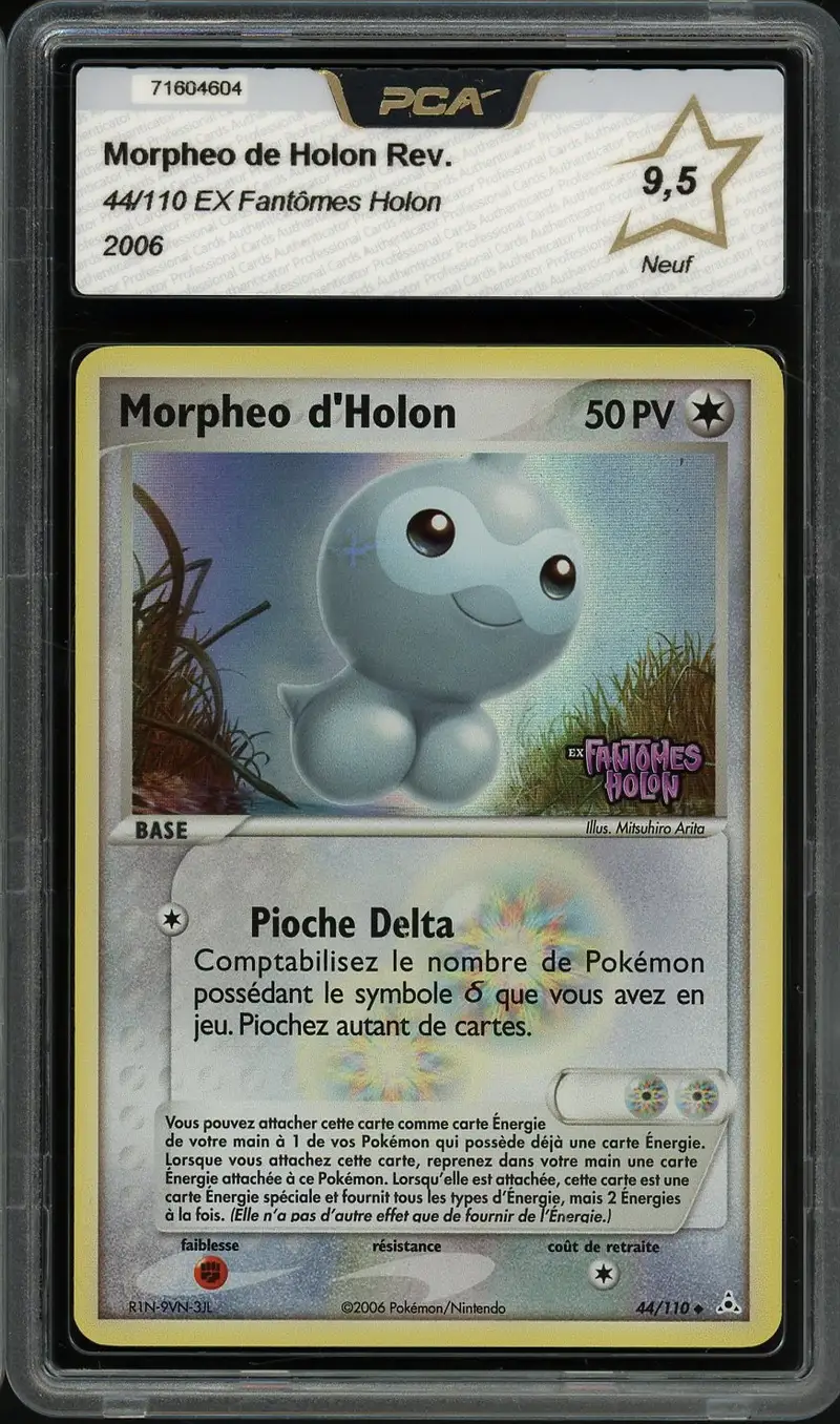 PCA 9.5 Morphéo d'Holon Reverse
