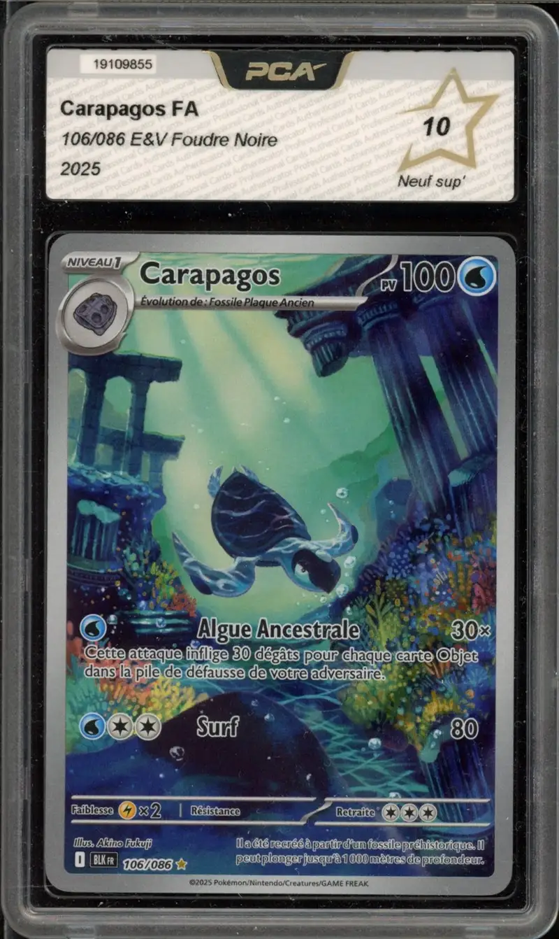 PCA 10 Carapagos