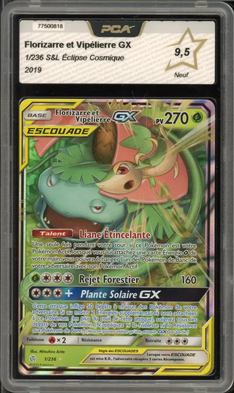 PCA 9.5 Florizarre et Vipélierre Gx