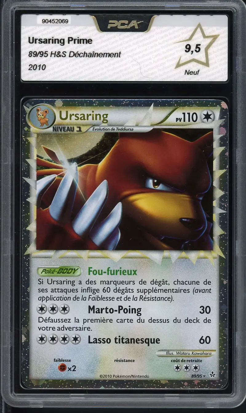 PCA 9.5 Ursaring Prime