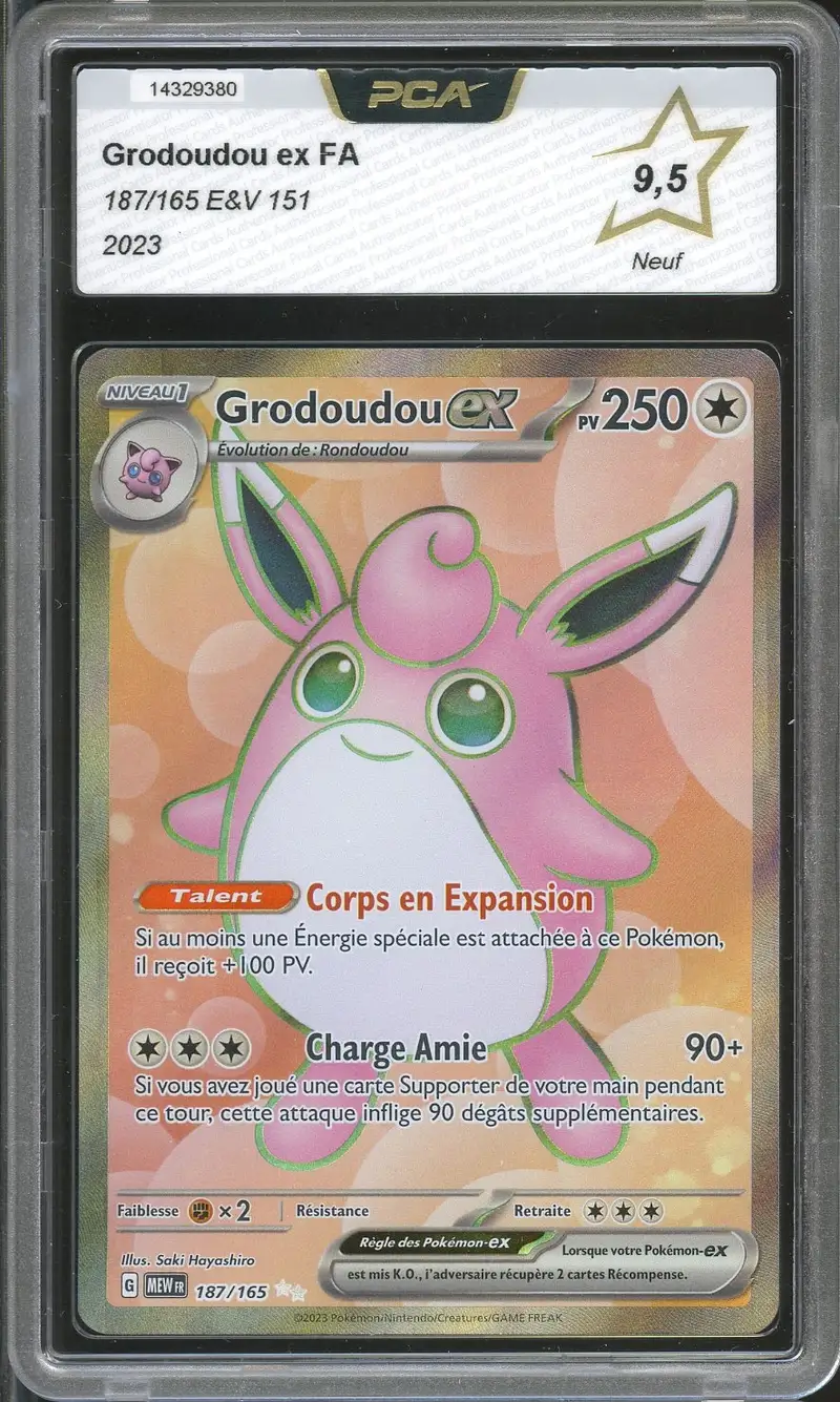 PCA 9.5 Grodoudou Ex