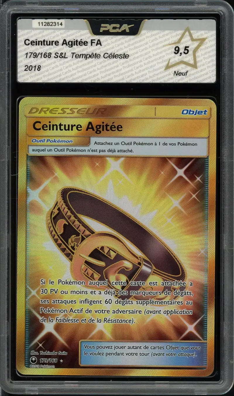 PCA 9.5 Ceinture Agitée Gold