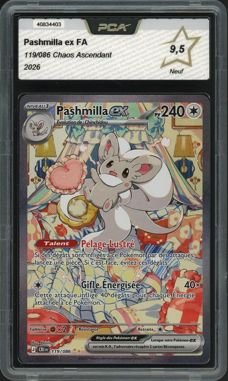 PCA 9.5 Pashmilla Ex