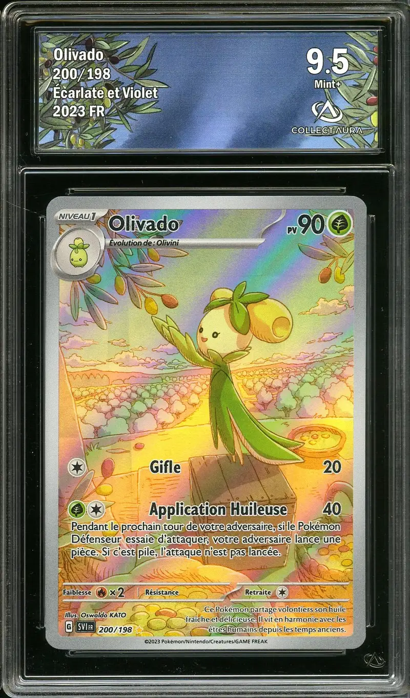 CA 9.5 Olivado