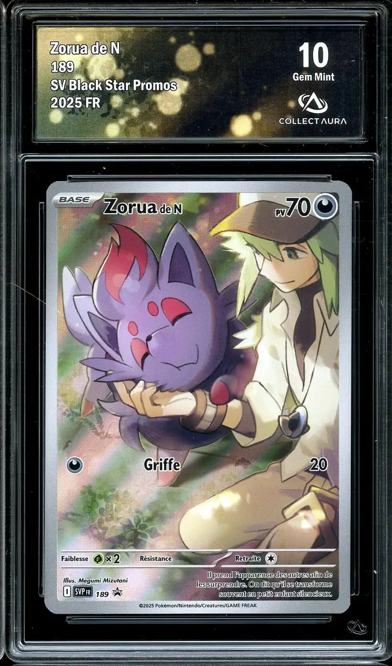 CA 10 Zorua de N