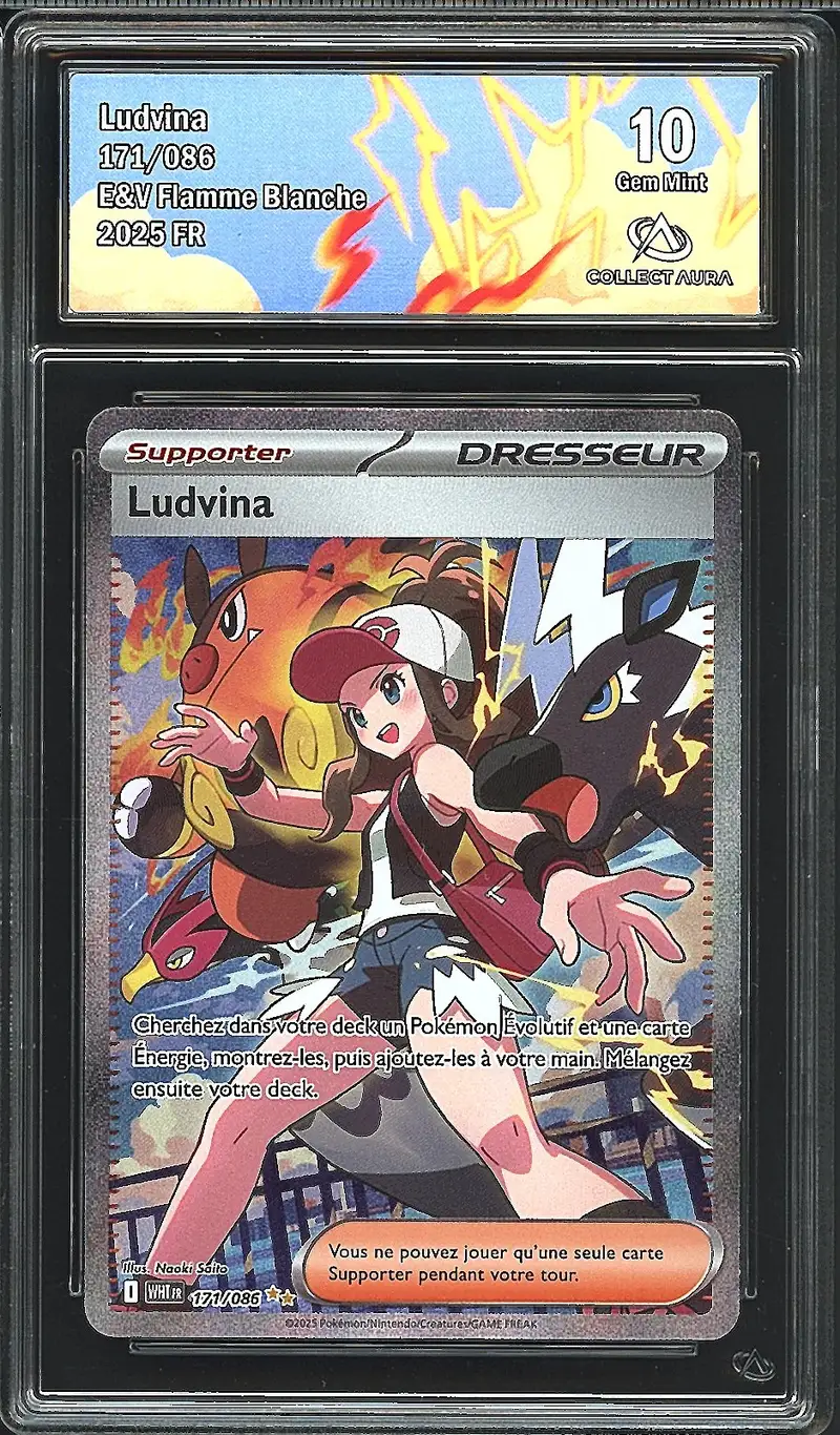 CA 10 Ludvina