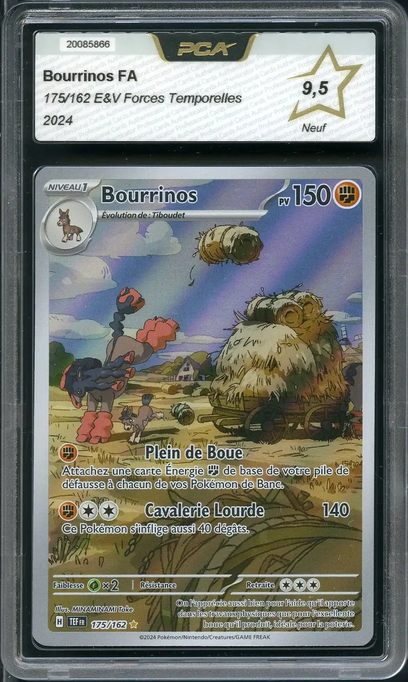 PCA 9.5 Bourrinos