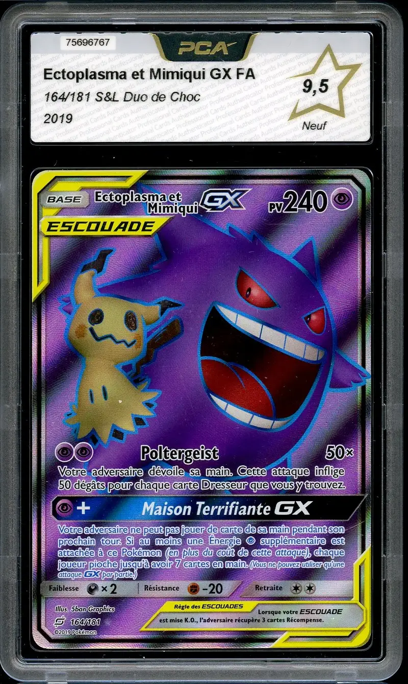 PCA 9.5 Ectoplasma et Mimiqui Gx