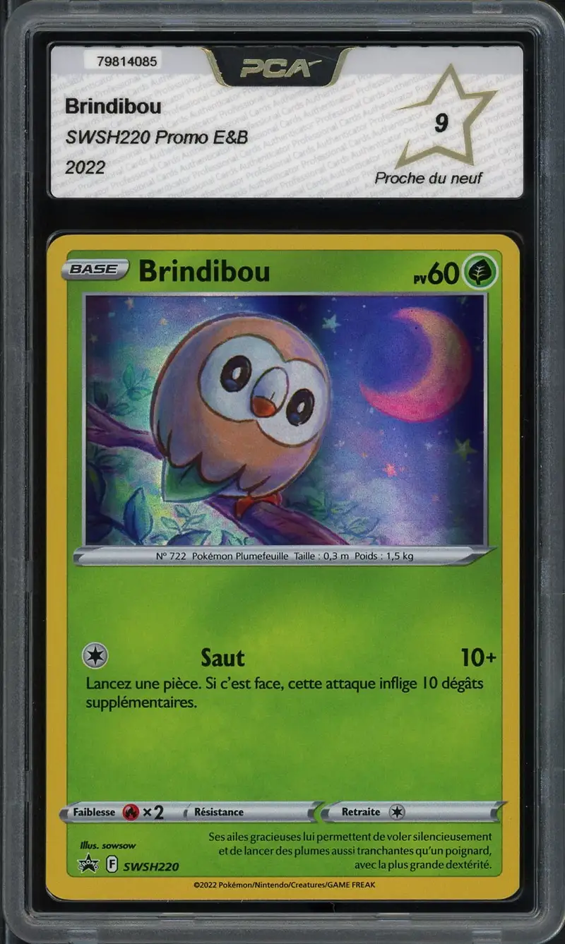 PCA 9 Brindibou