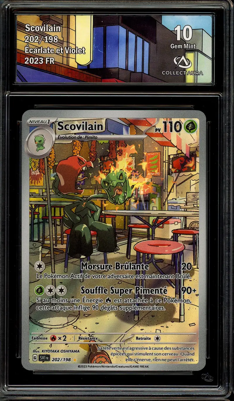 CA 10 Scovilain