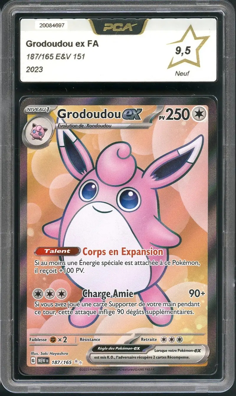 PCA 9.5 Grodoudou Ex