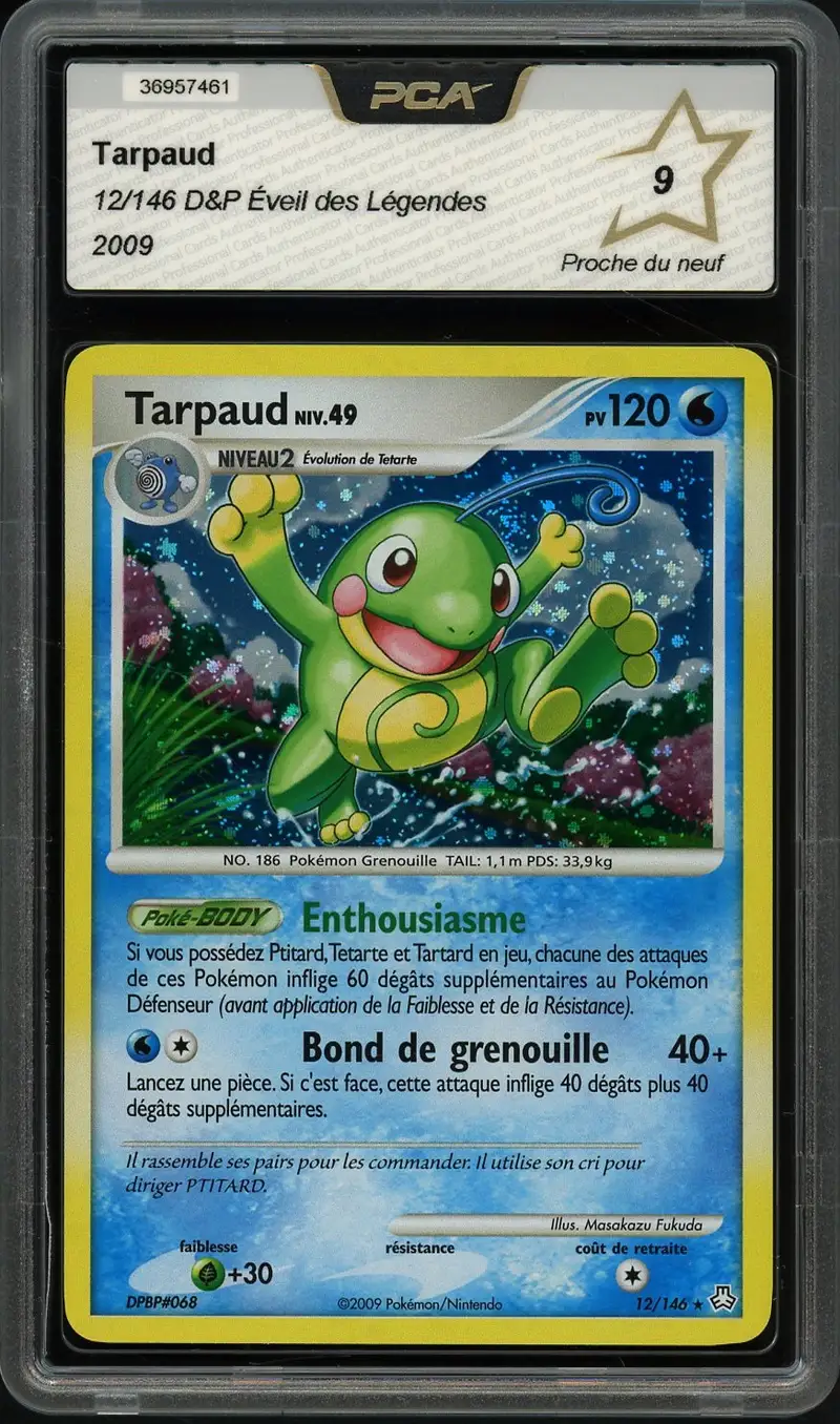 PCA 9 Tarpaud Holo