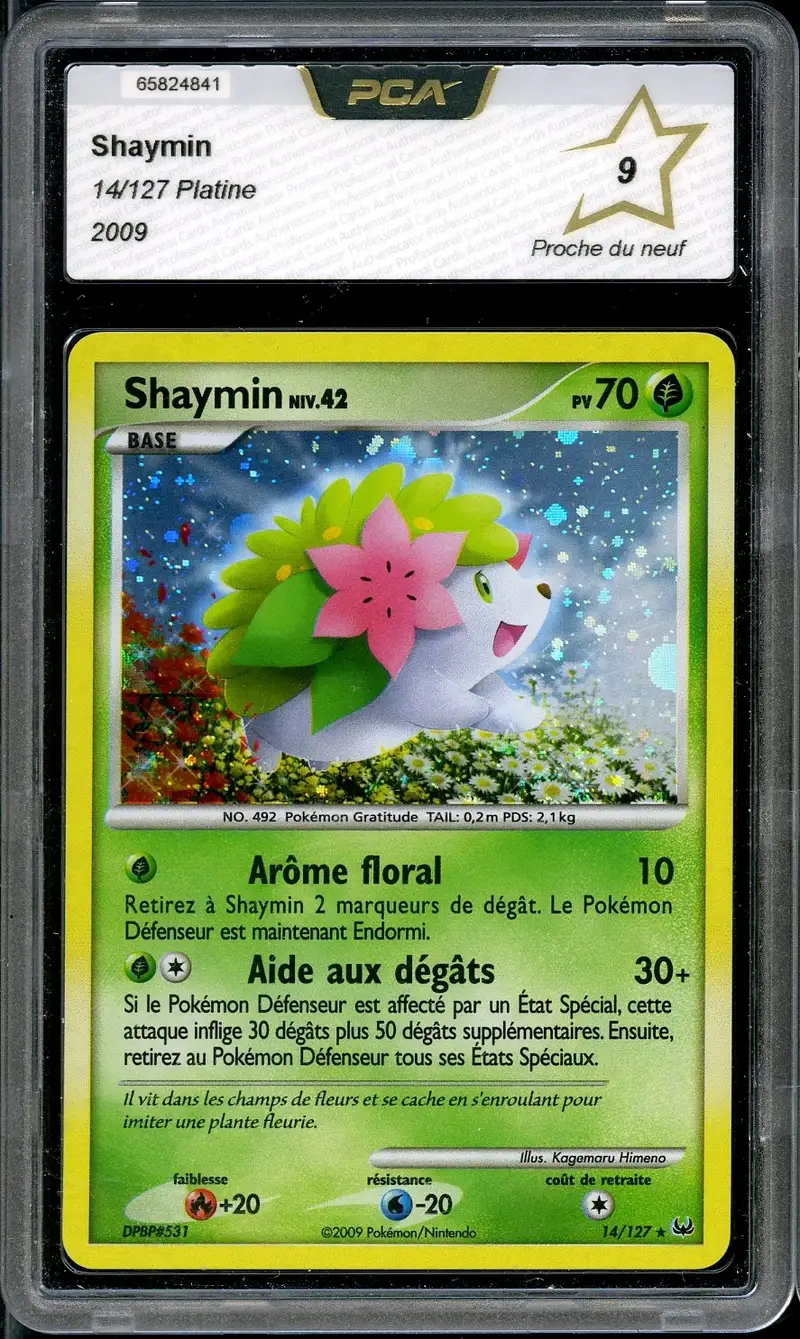 PCA 9 Shaymin Holo