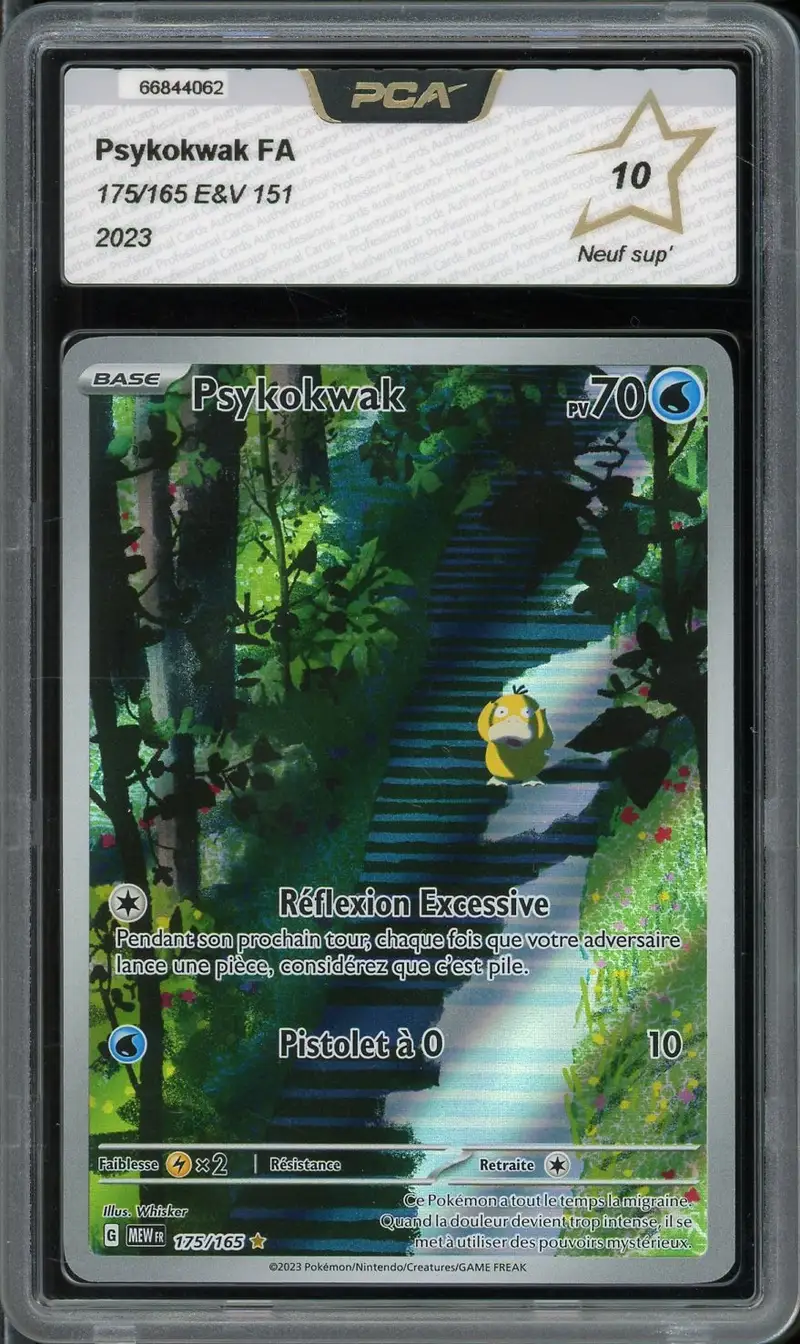 PCA 10 Psykokwak