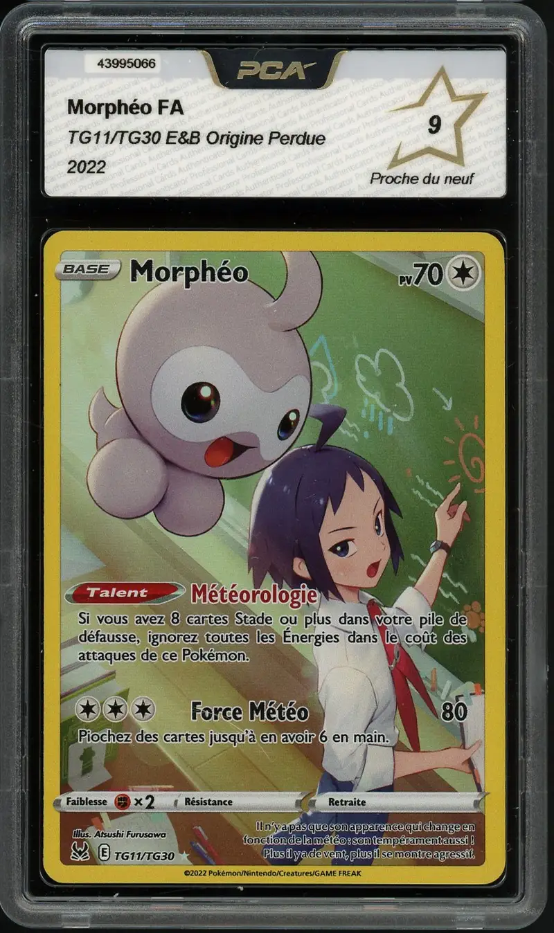 PCA 9 Morphéo