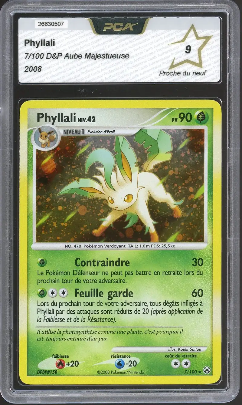 PCA 9 Phyllali Holo