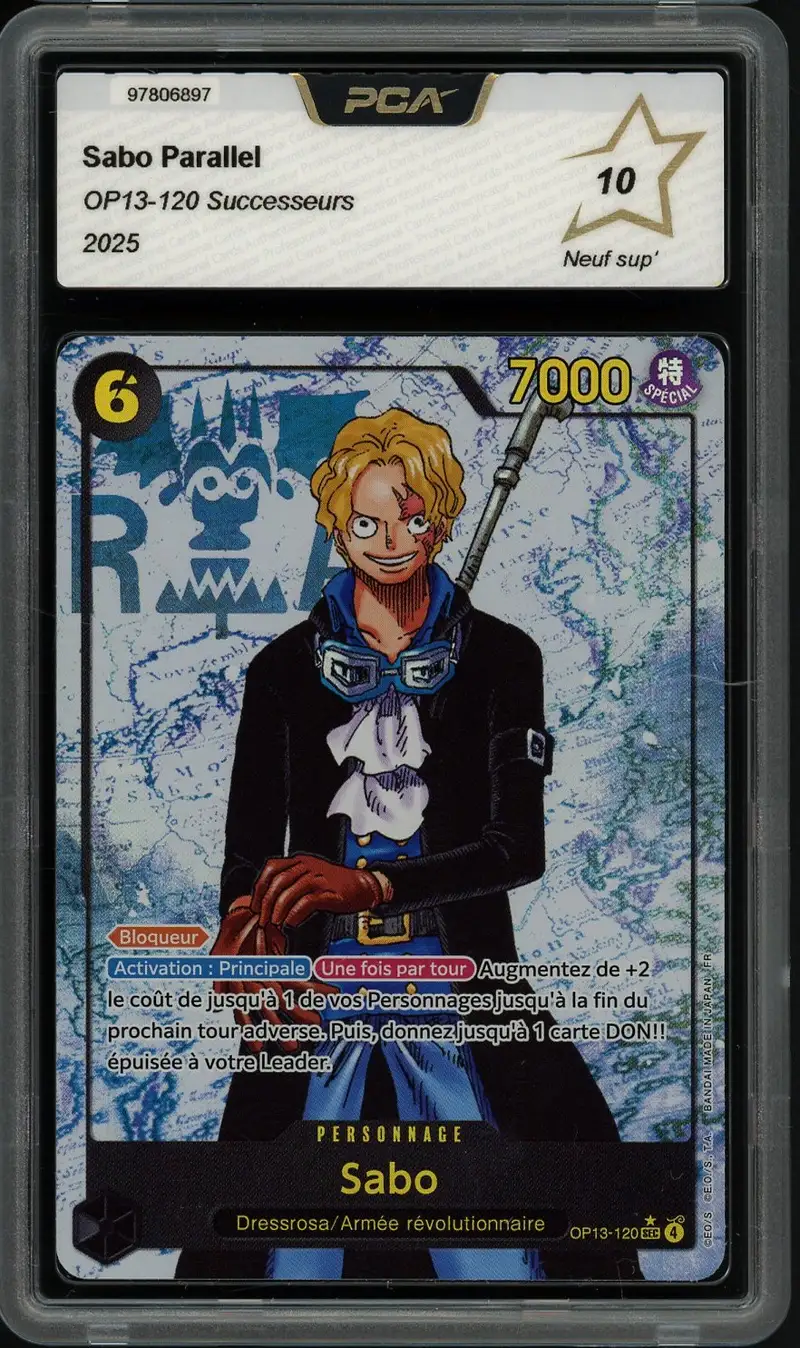 PCA 10 Sabo
