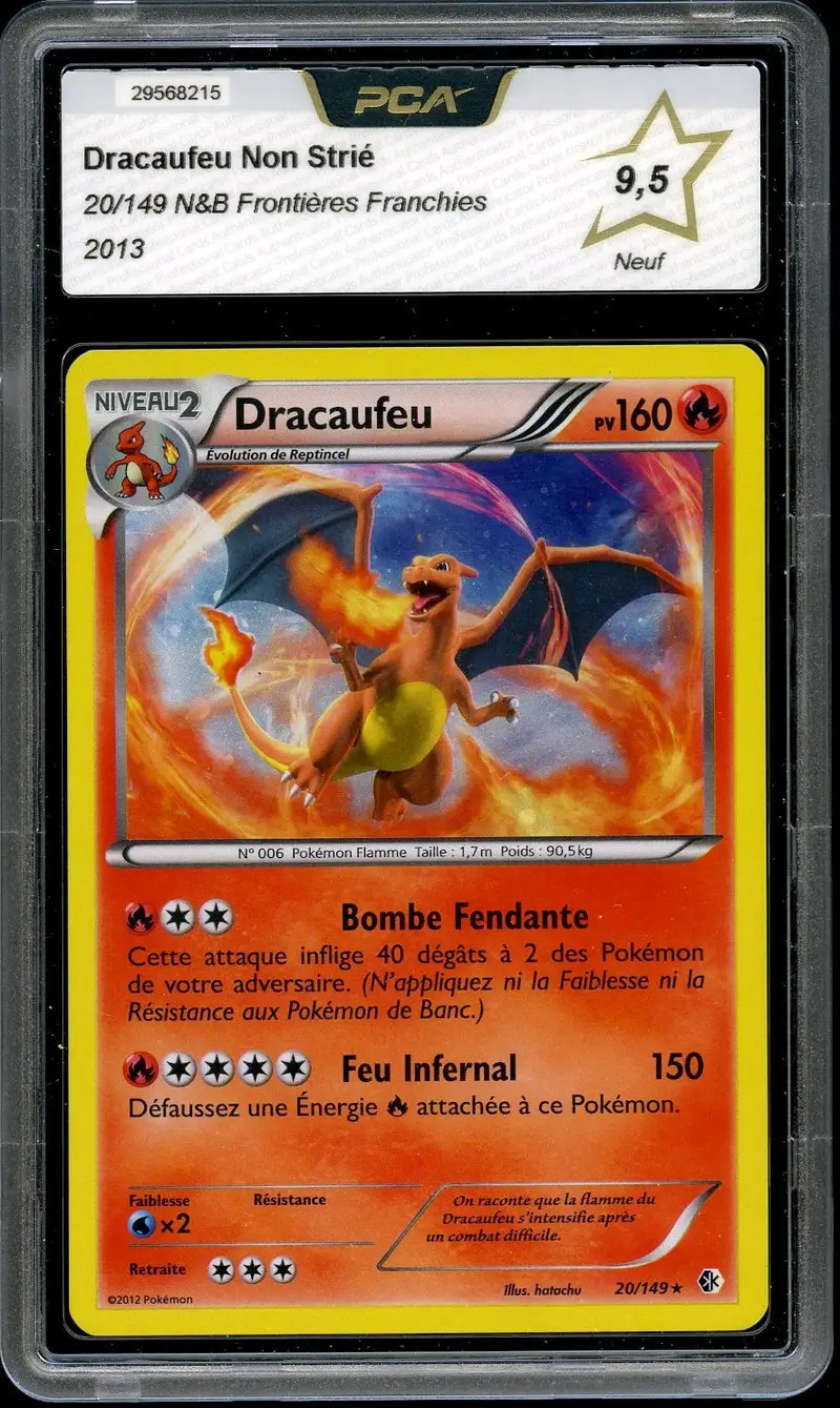 PCA 9.5 Dracaufeu Holo