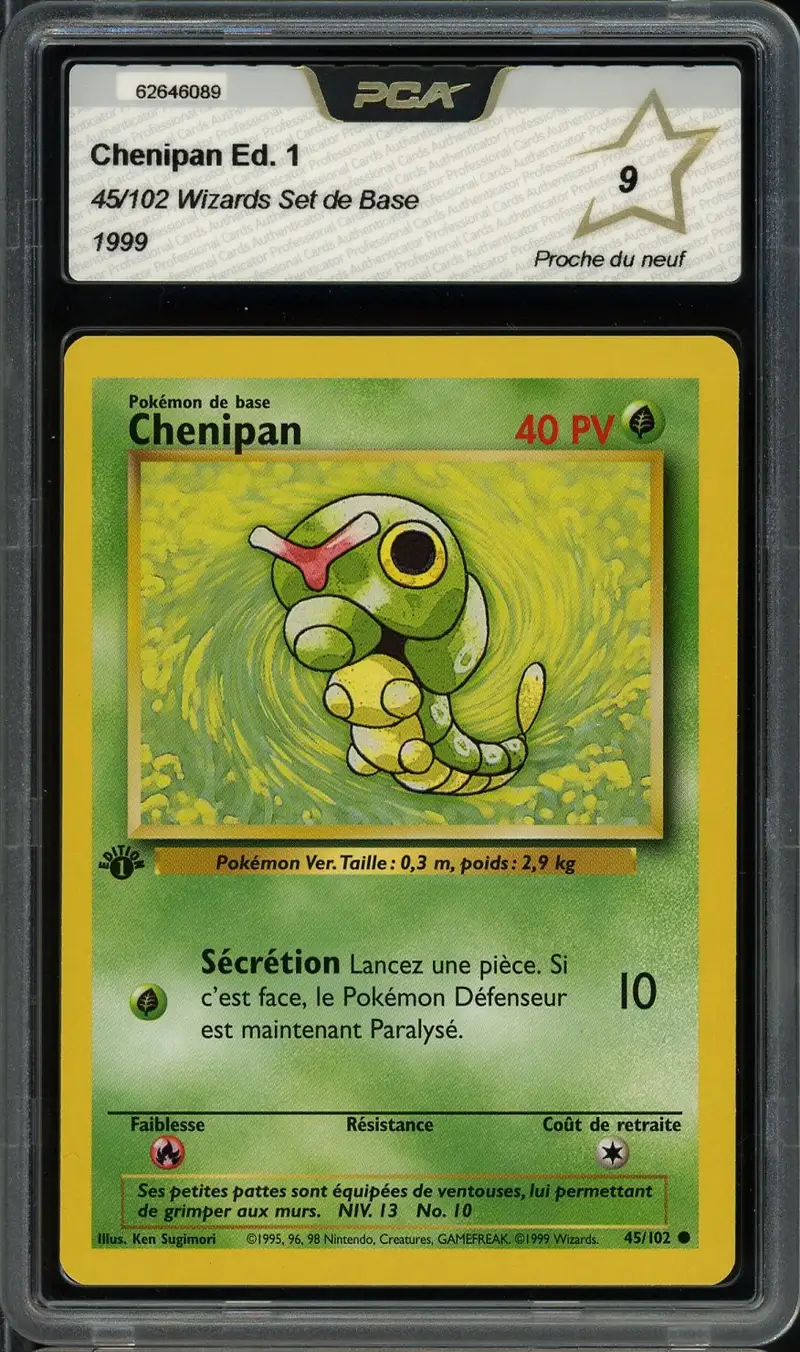 PCA 9 Chenipan
