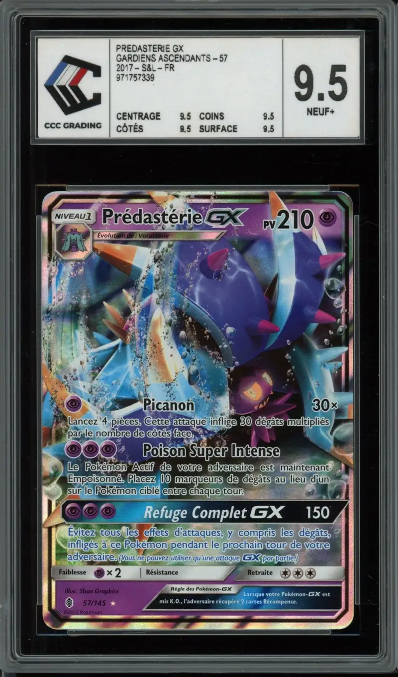 CCC 9.5 Prédastérie Gx