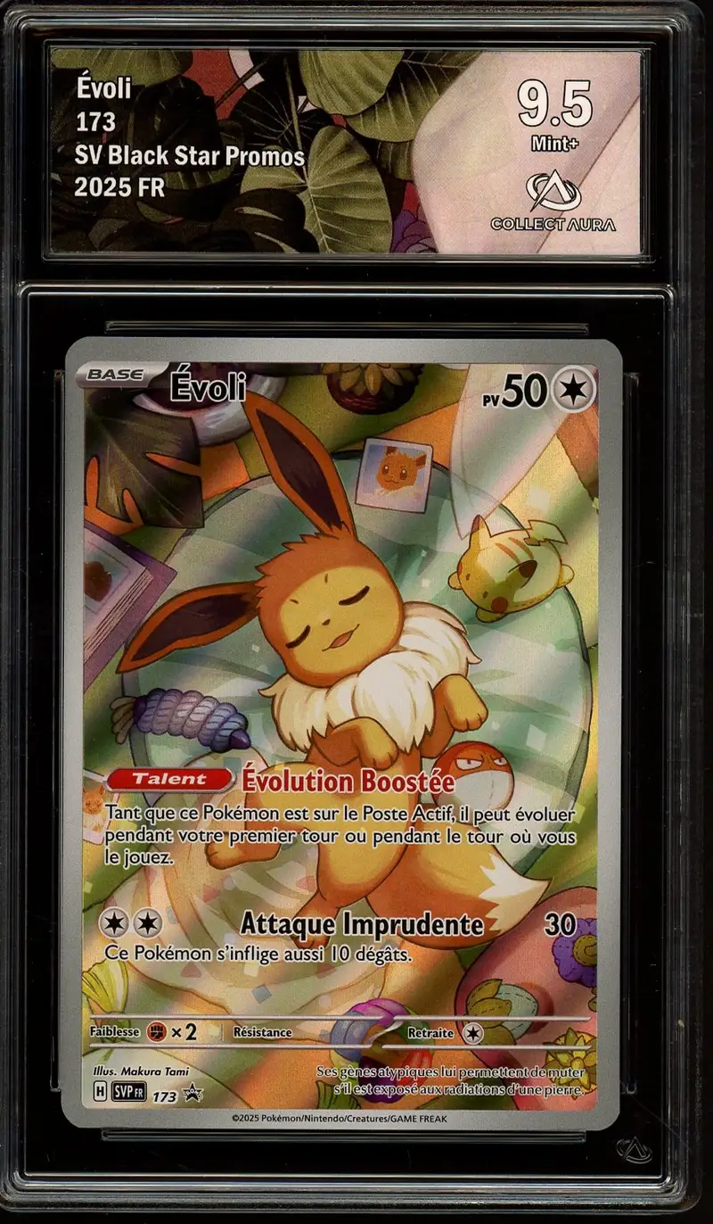 CA 9.5 Evoli