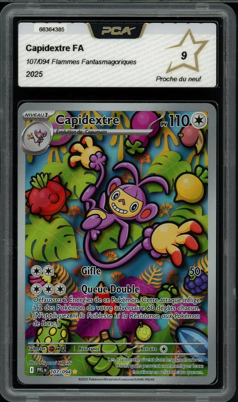PCA 9 Capidextre