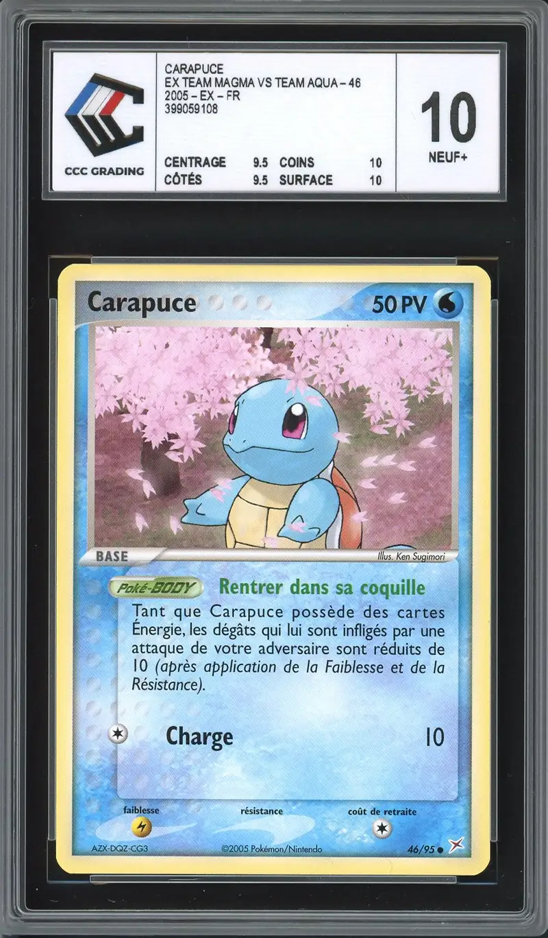 CCC 10 Carapuce