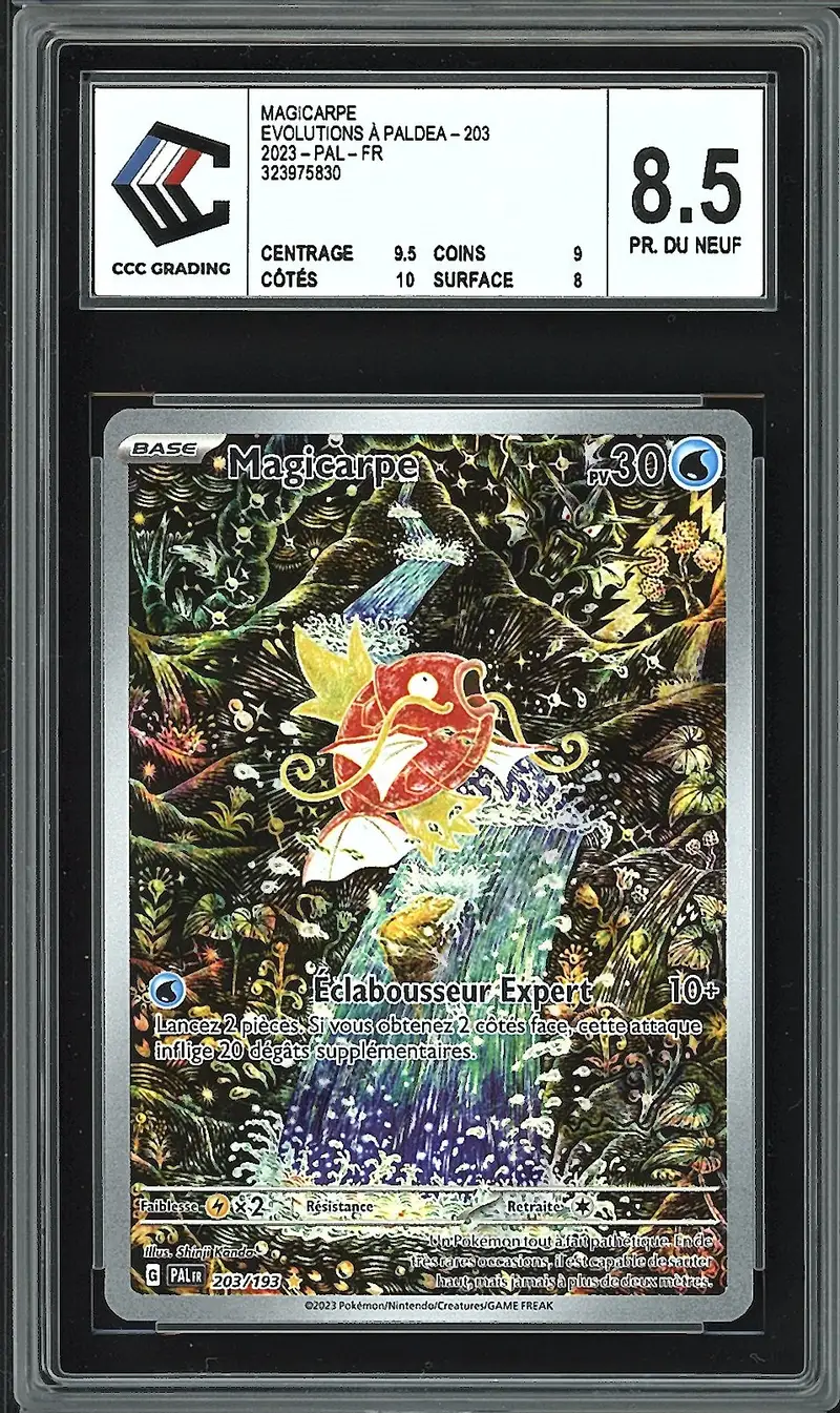 CCC 8.5 Magicarpe