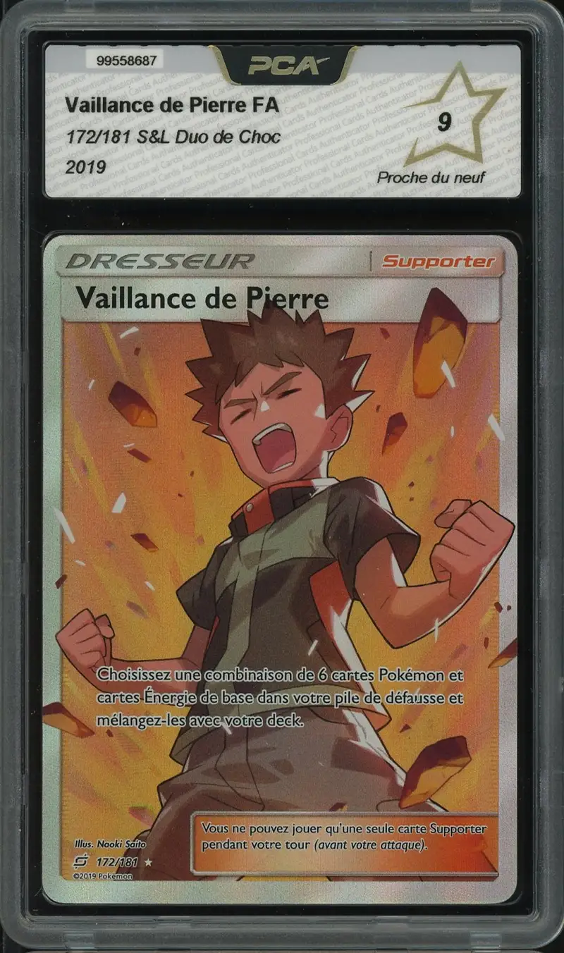 PCA 9 Vaillance de Pierre