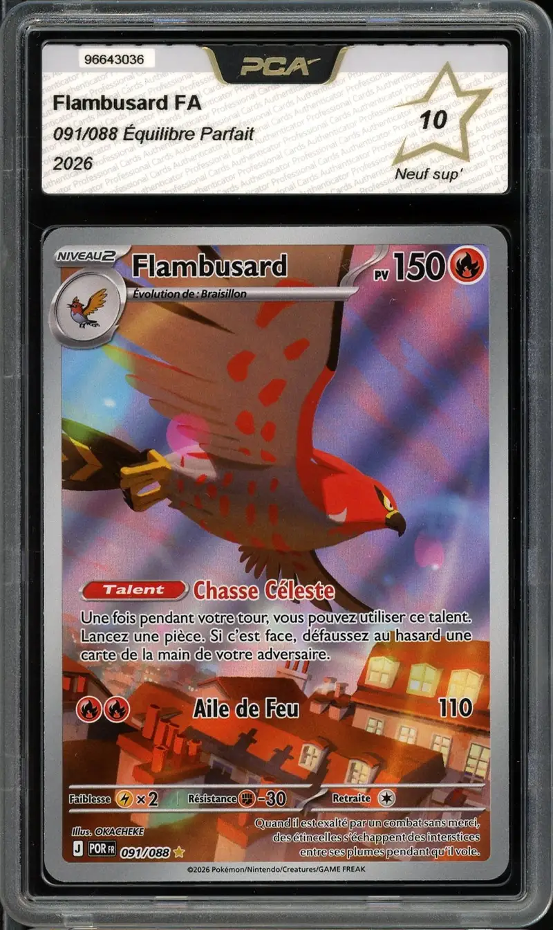 PCA 10 Flambusard